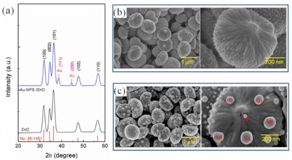 Surface – plasmon – enhanced ultraviolet emission of Au – decorated ZnO structures for gas sensing and photocatalytic devices